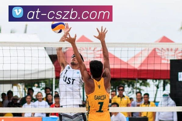 彩神争霸服务体系